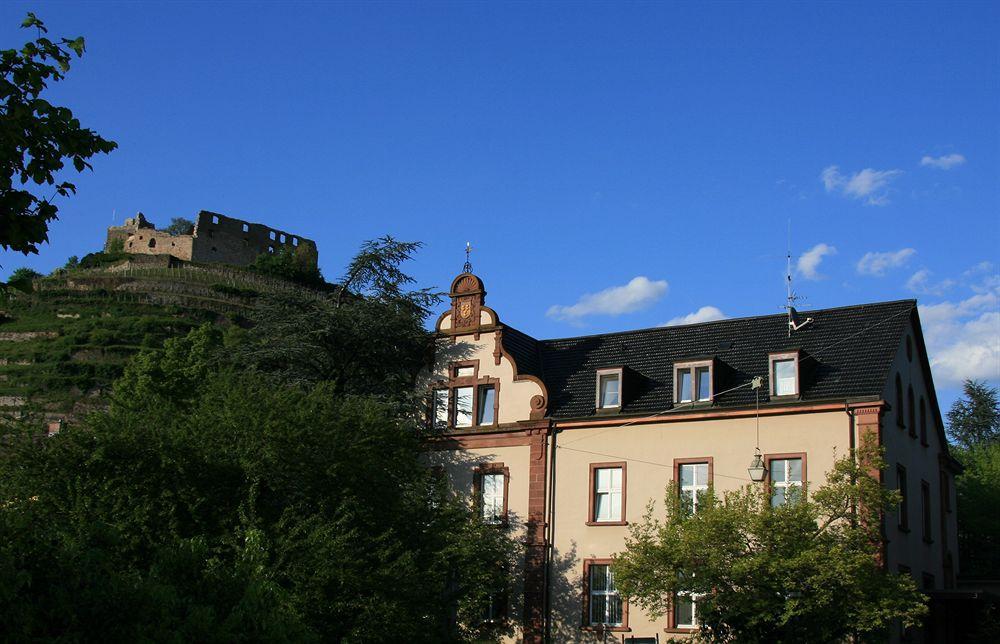 Gaestehaus Goethe Staufen im Breisgau Exterior foto